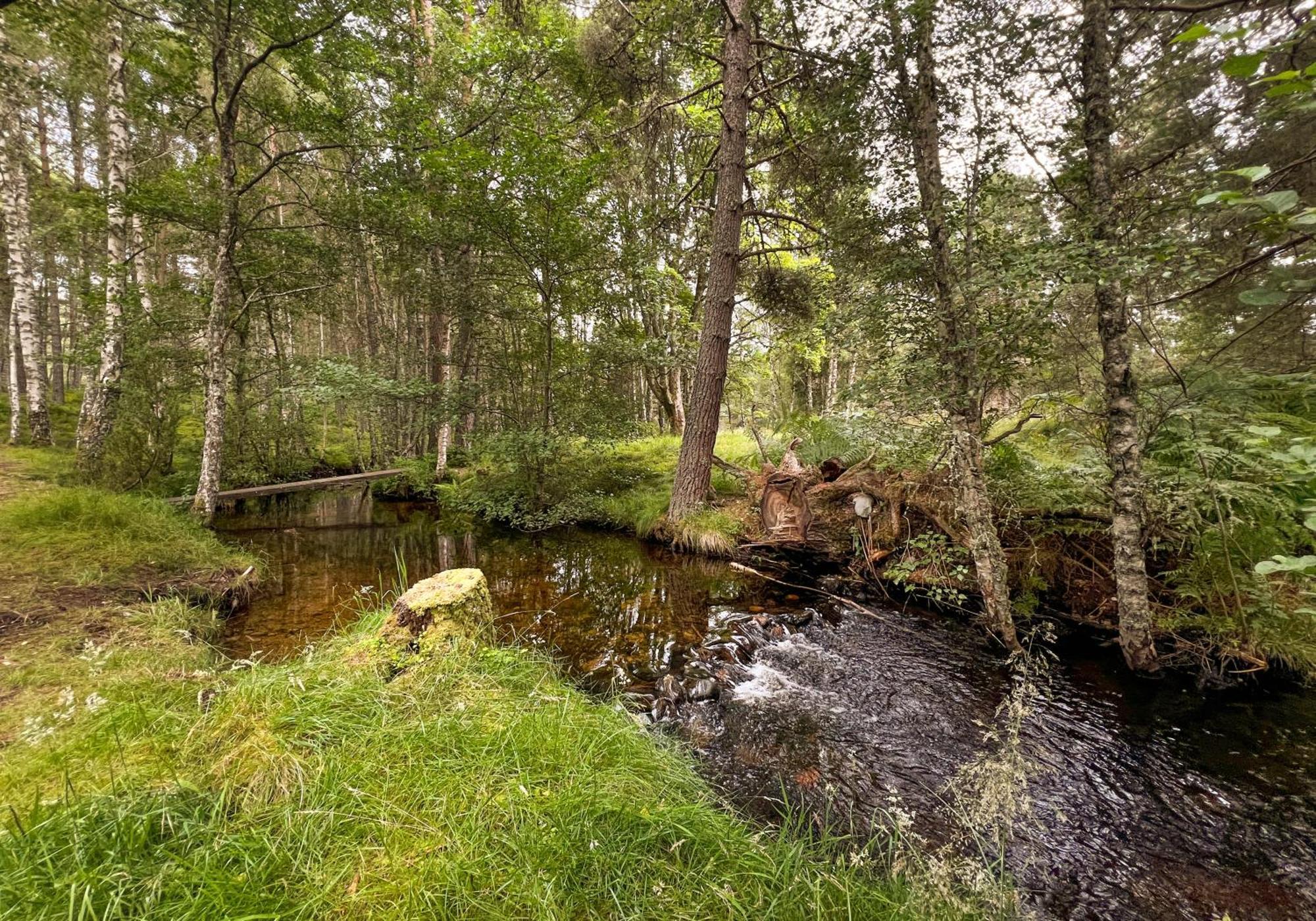 Cairngorm Lodge Rothiemurchus อาวีมอร์ ภายนอก รูปภาพ